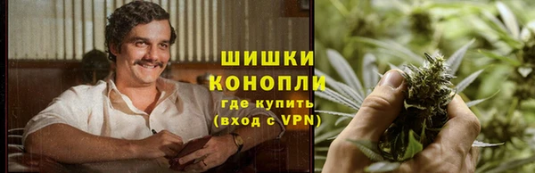 мяу мяу мука Аркадак