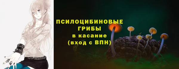 apvp Балабаново
