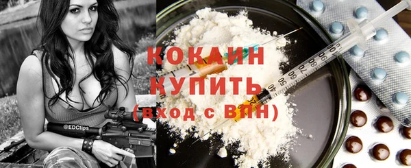 мяу мяу мука Аркадак