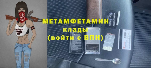 мяу мяу мука Аркадак