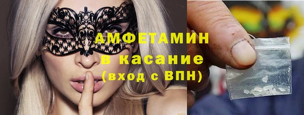 мяу мяу мука Аркадак