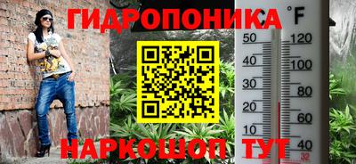 крисы Обь
