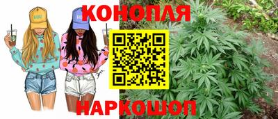 крисы Обь