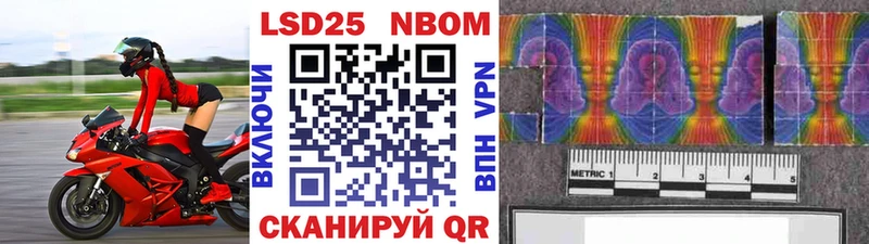 MEGA tor  Унеча  Марки N-bome 1,8мг 