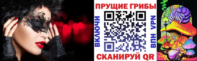 Галлюциногенные грибы Psilocybe  наркотики  мега маркетплейс  Унеча 